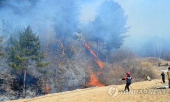 홍천 산불…진화에 안간힘 | 연합뉴스