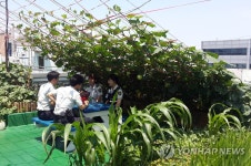 농장으로 변신…인천 서부경찰서 가좌지구대 옥상 | 연합뉴스