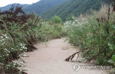 잡초에 묻힌 금강 수변공원 | 연합뉴스