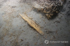 탐진·죽산·고부…태안서 나온 고려 목간 170점의 의미는 | 연합뉴스