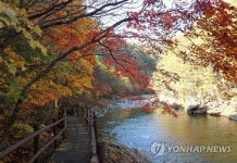 전북 내장산에 1만 단풍객…유명산마다 북적 | 연합뉴스