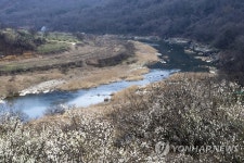 꽃향기 그윽한 임실 구담마을로 오세요 | 연합뉴스