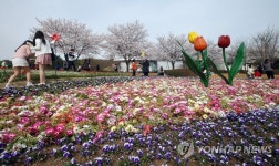 봄꽃,벚꽃,튤립…여심 유혹하는 울산대공원 | 연합뉴스