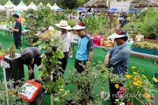 도심에서 농업을 | 연합뉴스