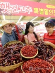 농협유통, 안면도 태양초 햇건고추 판매개시 | 연합뉴스