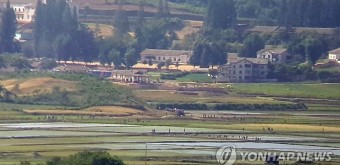 모내기 하는 북한 주민 | 연합뉴스