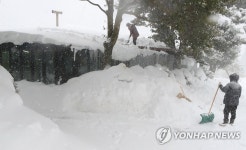 폭설에 갇힌 제주 중산간 마을 이렇게 눈이 내린 건 처음 | 연합뉴스