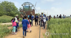 고창에서 열린 세계인 행복체험 | 연합뉴스
