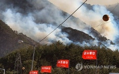 산불 무서운 남하에 울진 초비상…연기·강풍에 진화 사투(종합) | 연합뉴스