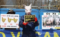 공장식 축산, 감금틀 사육 중단하라 | 연합뉴스