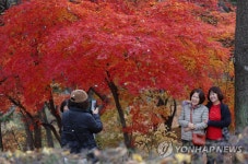 '단풍을 배경 삼아'…늦가을 정취 만끽하는 시민들 | 연합뉴스
