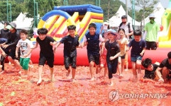 여기가 토마토 천국 | 연합뉴스