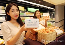 신세계백화점, 어제 낳은 자연방사 유정란 판매 | 연합뉴스