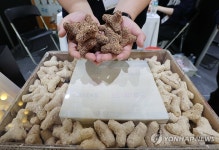 자연으로 돌아가는 친환경 포장 충전재 | 연합뉴스