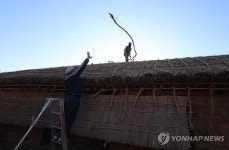초가지붕 새 단장… 제주 서귀포 성읍민속마을 | 연합뉴스