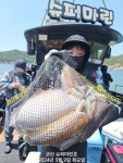 출조안내 - 군산슈퍼마린호 대왕갑오징어=평일정상출항6만