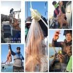 야간 (낙지 문어) 초대박~엄청나와요~고고피싱 조황 (오늘밤 6時
