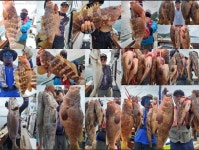 [고흥피쉬헌터호] 25일~~붉바리 아지트 녹동 바다....!!!