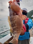 [고흥피쉬헌터호] 25일~~붉바리 아지트 녹동 바다....!!!