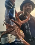 군산킹스타호 7/13 실시간 문어소식