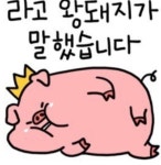 루어낚시조황+ - 구라기상청! 속 돌문어