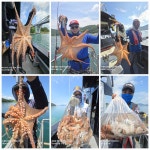 감성돔 사이즈 마리수 좋습니다 내일 오전 낚시 합니다.예약가능