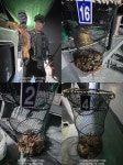 시한하게 야간 돌문어 출조~