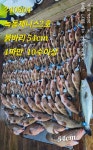240804/2호/외수질/붉바리54,48cm외 4짜10수오바~/화요일부터 예약중/전좌석 어닝 그늘막 낚시