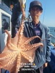 군산킹스타호 9/15 쭈꾸미 마무리 소식