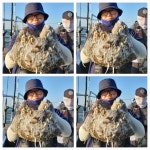 쭈.갑 먹물조황+ - [군산뉴블루스타호] 9월 15일 금어기 해제후 쭈꾸미 15일차 출조 조황.