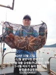 (南)남해조황 - 통영 금정호 문어선상 만날 팔이 빠지도록 잡습니다 화욜부터 여유~