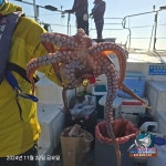 제주 구룡호 3월 24일 목요일 >