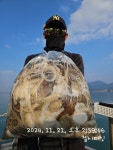 (南)남해조황 - 오전반왕쭈 장원85수~