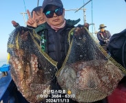 군산킹스타호 11/13 문어 마무리 소식
