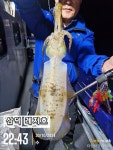 통영리차드호 왕한치 터졌습니다~~ 금,토요일 자리여유~~ 통영리차드호 왕한치 터졌습니다~~ 금,토요일 자리여유~~