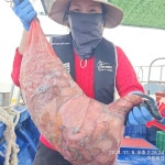 《여수빅토리 피싱》2호먼바다 뚱땡이갑오징어조황입니다