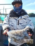 구산면 타이거 밤장어