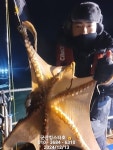 군산킹스타호 12/13 실시간 문어소식
