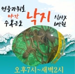 점주 선상조황(2024) 233 페이지 > 인낚ㅣ인터넷바다낚시