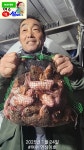 24일 주꾸미 오늘은 소풍 나왔어요