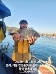 통영 금정호 대물감성돔 54cm이하 43수!!!! 초!!!대박입니다 내일자리있어요