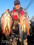 [여수세븐피싱] 1/1 먼바다타이 조황//250수 이상!!!//내일자리여유 010-5664-9231