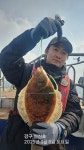 (東)동해조황 - 동해안 봄도다리 참가자미 선상낚시 토요일오전반오후반 신신호 250308