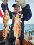 출조안내 - [고흥피쉬헌터호] 거문도권 왕열기~~~~!!!
