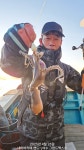 내일도 5만원 ~~~갑오징어~~~낙지.쭈 덤으로~~~자리여유