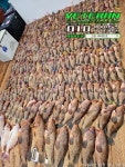 (南)남해조황 - 고흥 붉바리,민어 외수질 4월 19일 부터 출조합니다!