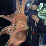 왕오징어 참말로 기가찹니다..먹잔치 다시 한번 더..금.토.일.월 예약가능