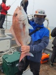 루어낚시조황+ - 5/31 신조선 [군산 해룡호]_참돔타이라바 오전반 조황_사이즈 좋고 ~ 손님고기 광어까지 ~!