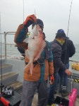 루어낚시조황+ - [5월 11일 군산 조황] 참돔 타이라바 오전반 16인 조황 – 신조선 해룡호, 7짜 참돔과 8짜 광어로 존재감 입증