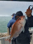 루어낚시조황+ - [5월 11일 군산 조황] 참돔 타이라바 오전반 16인 조황 – 신조선 해룡호, 7짜 참돔과 8짜 광어로 존재감 입증